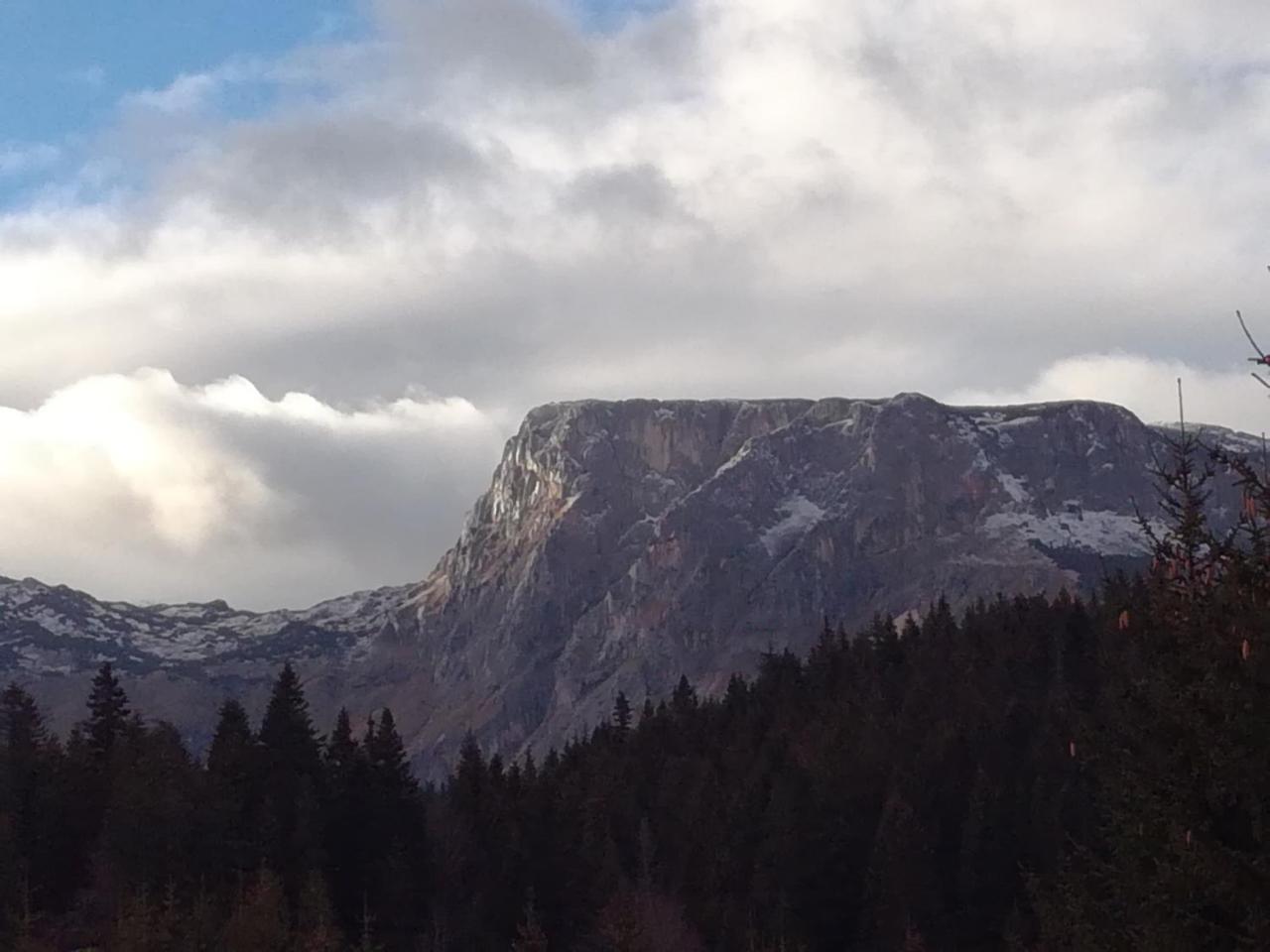 Apartment Durmitor Žabljak Extérieur photo