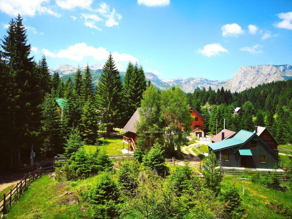 Apartment Durmitor Žabljak Extérieur photo